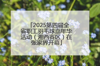 2025第四届全省职工羽毛球嘉年华活动（湘西赛区）在张家界开幕